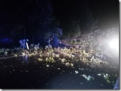 IMG_20210815_213718[1]