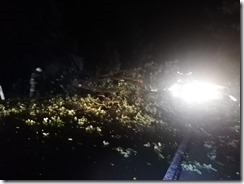 IMG_20210815_213723[1]