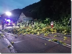 IMG_20210629_210321[1]